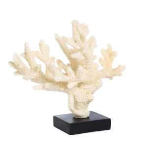 Deko Objekt Koralle in Elfenbein 44072 Goodwill Deko Objekte