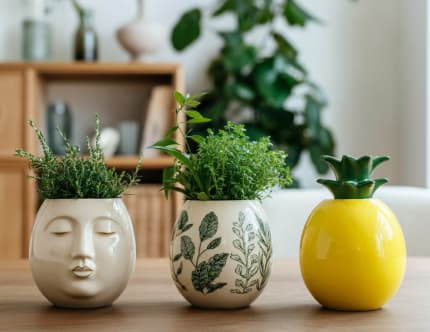 blumentöpfe online kaufen